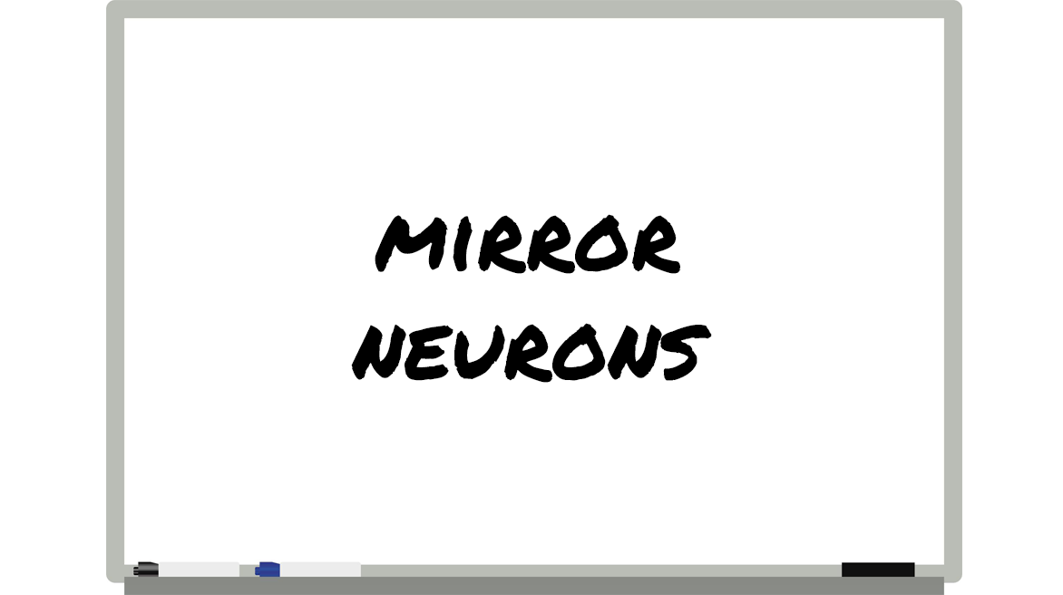 Mirror Neurons Explained All You Need To Know