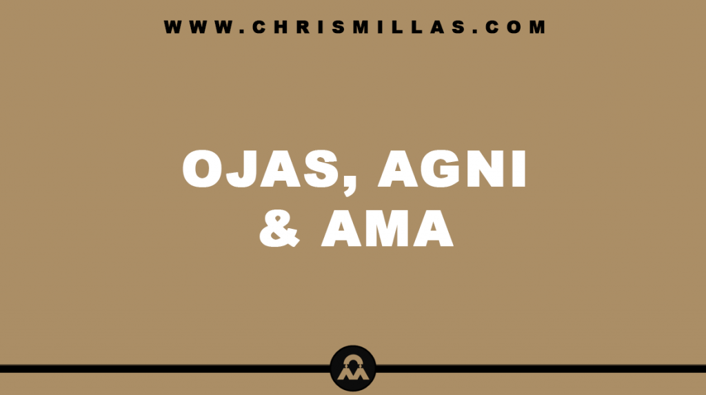 Ojas, Agni & Ama