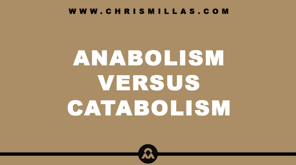Anabolism Versus Catabolism Explained Simply
