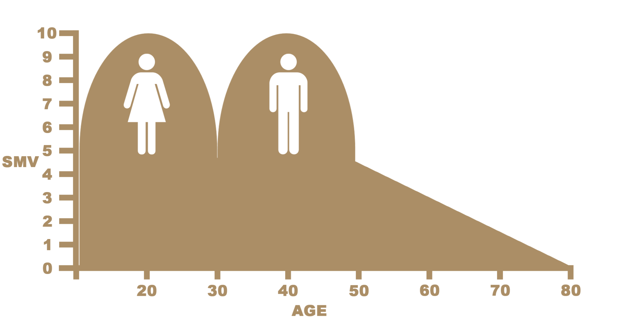 Sexual Market Value (SMV) Explained - All You Need To Know ...